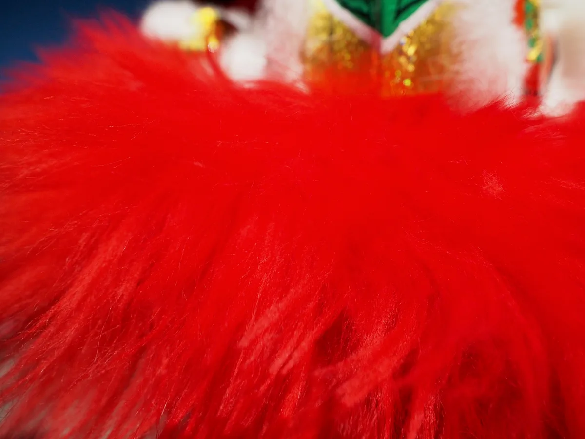 Lunar New Year photograph 18